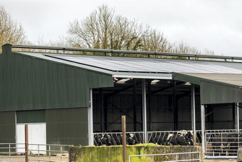 Farmers 'ready for rooftop solar panels', but 90% of TAMS grants rejected Farmers 'ready for rooftop solar panels', but 90% of TAMS grants rejected
