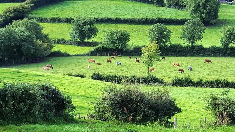 Extra payment to be issued to NI farmers Extra payment to be issued to NI farmers
