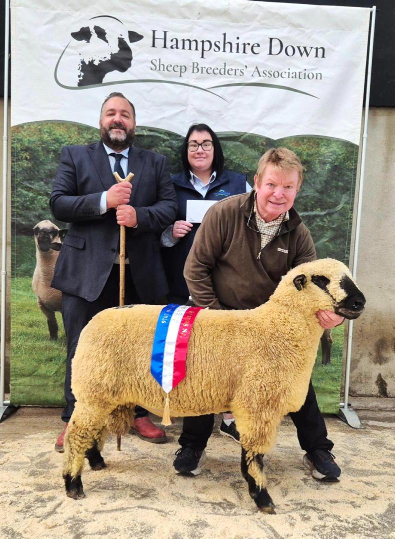 Every lot sells at Hampshire Downs sale as judge buys champion ewe lamb Every lot sells at Hampshire Downs sale as judge buys champion ewe lamb
