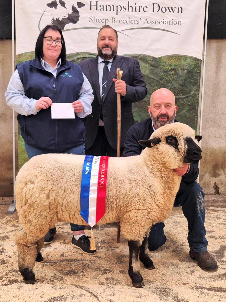 Every lot sells at Hampshire Downs sale as judge buys champion ewe lamb Every lot sells at Hampshire Downs sale as judge buys champion ewe lamb