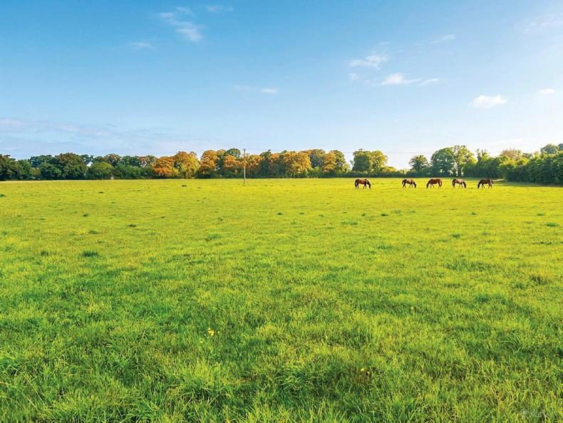 Kildare land 30 minutes from Dublin city centre among three farms up for auction Kildare land 30 minutes from Dublin city centre among three farms up for auction