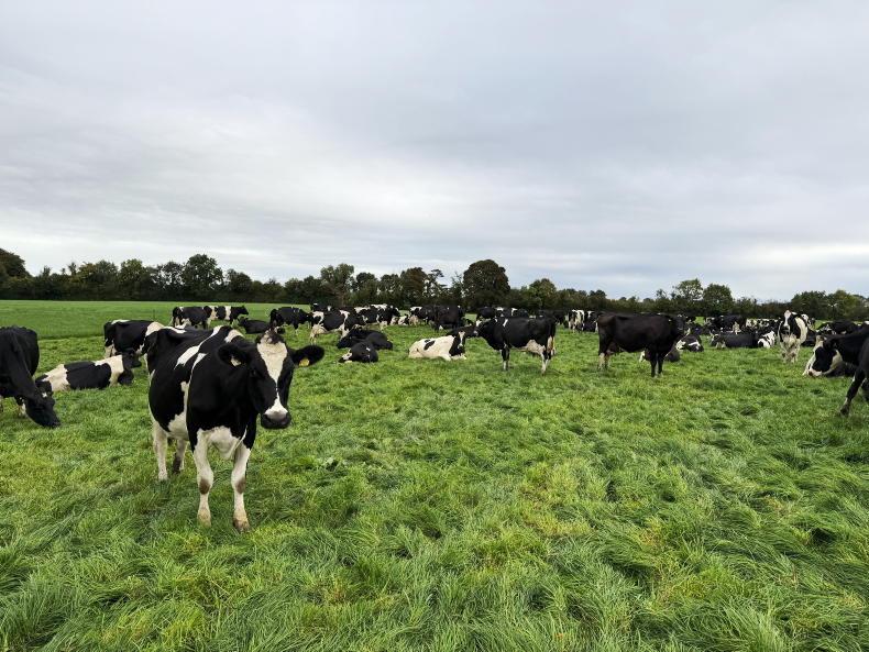 Dairy Management: closing off paddocks for autumn Dairy Management: closing off paddocks for autumn