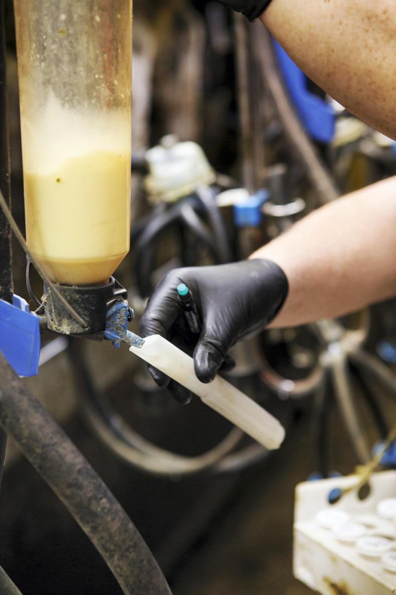 Vet's Corner: Late season milk recording – more than just a set of figures Vet's Corner: Late season milk recording – more than just a set of figures