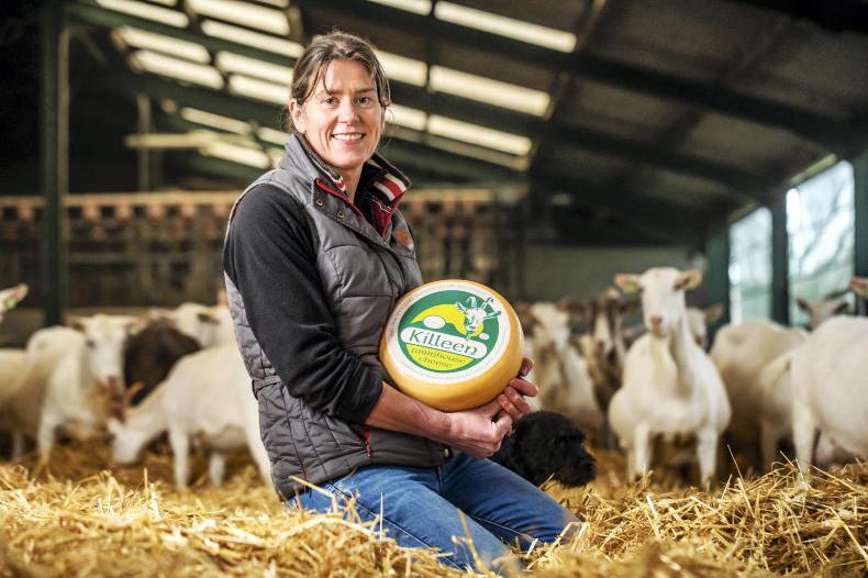 Celebrating 50 years of Irish farmhouse cheese and its newest stars Celebrating 50 years of Irish farmhouse cheese and its newest stars