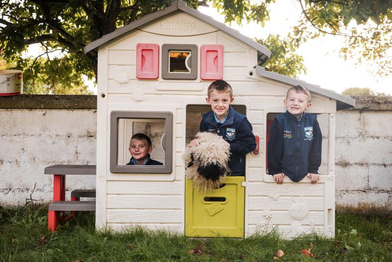 Meet the tractor-mad Carlow triplets taking sheep to school to teach farm safety Meet the tractor-mad Carlow triplets taking sheep to school to teach farm safety