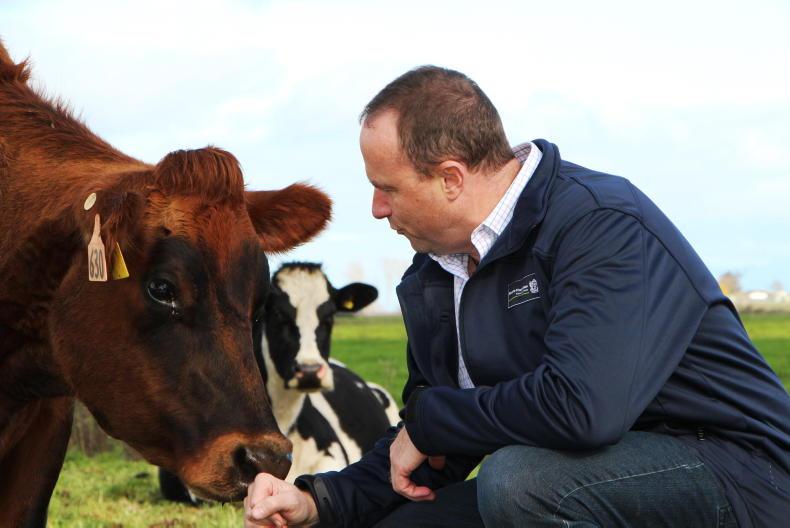 Kerry man who planned to play GAA in Chicago now advises New Zealand's PM Kerry man who planned to play GAA in Chicago now advises New Zealand's PM