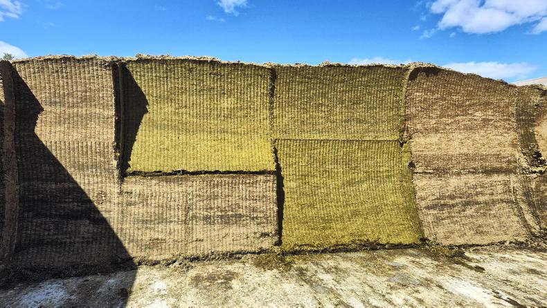 Dutch firm's clever silage grab designed to leave pit face 'like it was shaven' Dutch firm's clever silage grab designed to leave pit face 'like it was shaven'