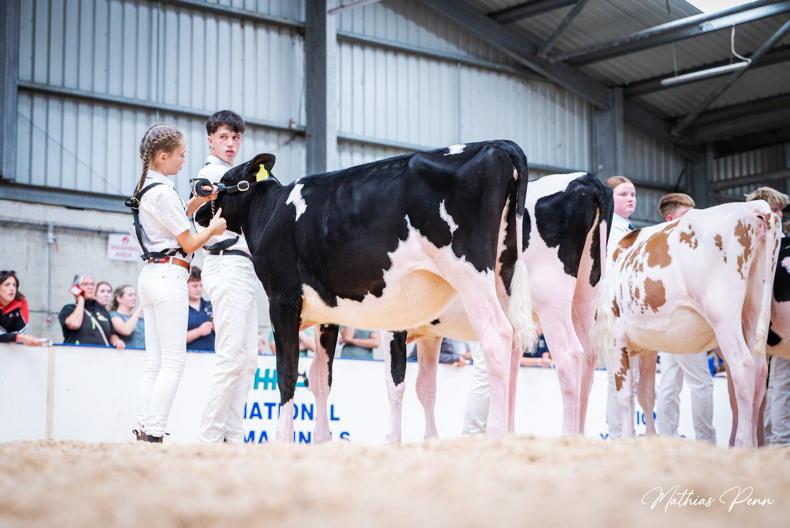 European Commissioner to officially open FBD National Dairy Show European Commissioner to officially open FBD National Dairy Show