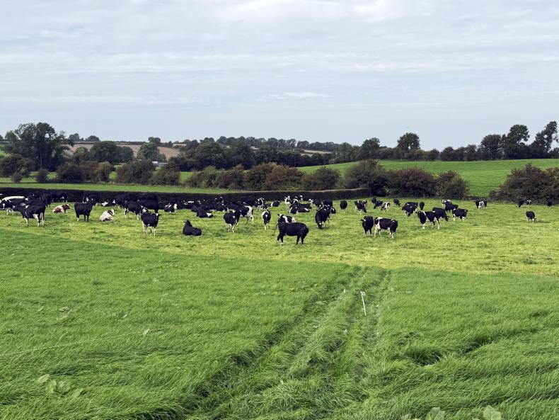 Wicklow dairy farmer's five-step plan to tackle a 50-day winter feed shortfall Wicklow dairy farmer's five-step plan to tackle a 50-day winter feed shortfall