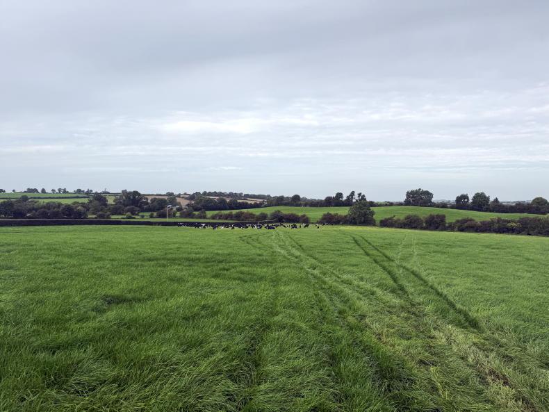 Wicklow dairy farmer's five-step plan to tackle a 50-day winter feed shortfall Wicklow dairy farmer's five-step plan to tackle a 50-day winter feed shortfall