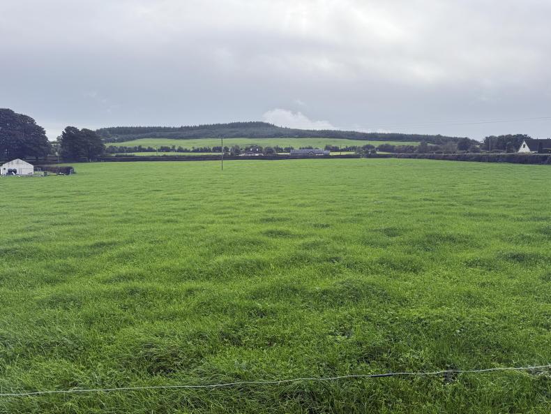 Wicklow dairy farmer's five-step plan to tackle a 50-day winter feed shortfall Wicklow dairy farmer's five-step plan to tackle a 50-day winter feed shortfall