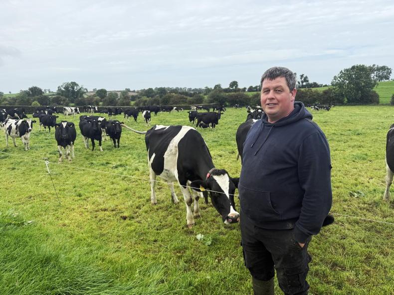 Wicklow dairy farmer's five-step plan to tackle a 50-day winter feed shortfall Wicklow dairy farmer's five-step plan to tackle a 50-day winter feed shortfall