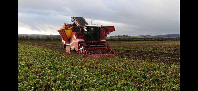 How Kildare father and son built a growing winter feed business on tillage farm How Kildare father and son built a growing winter feed business on tillage farm