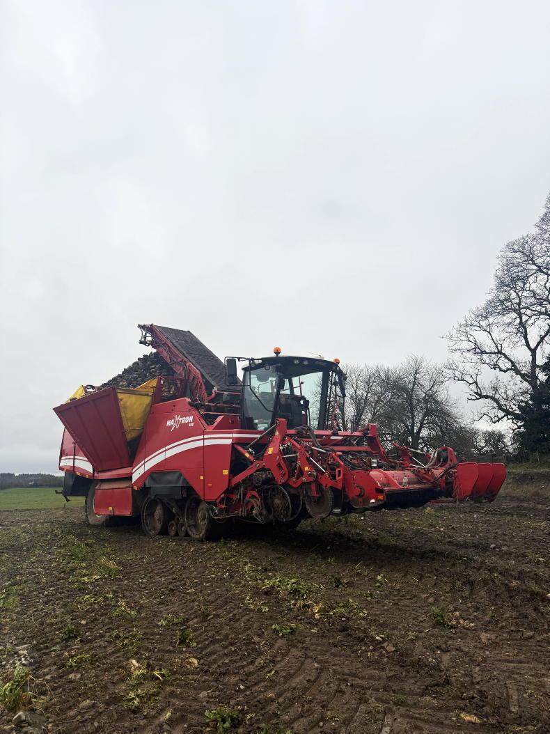 How Kildare father and son built a growing winter feed business on tillage farm How Kildare father and son built a growing winter feed business on tillage farm
