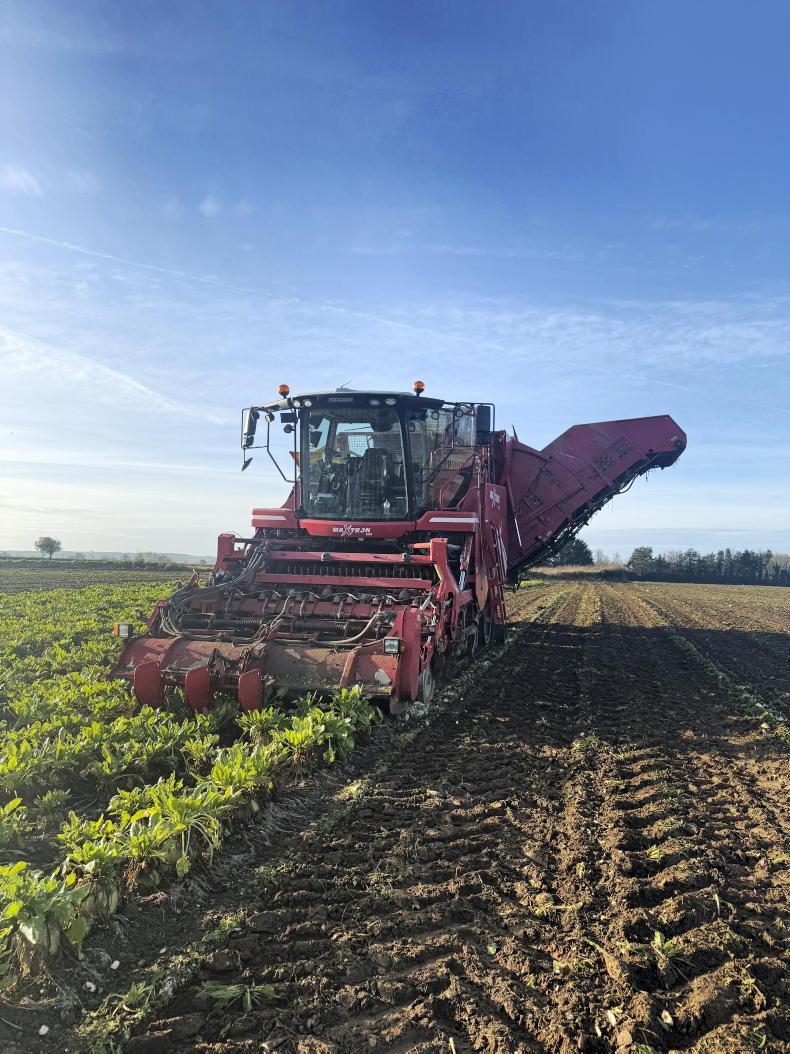 How Kildare father and son built a growing winter feed business on tillage farm How Kildare father and son built a growing winter feed business on tillage farm