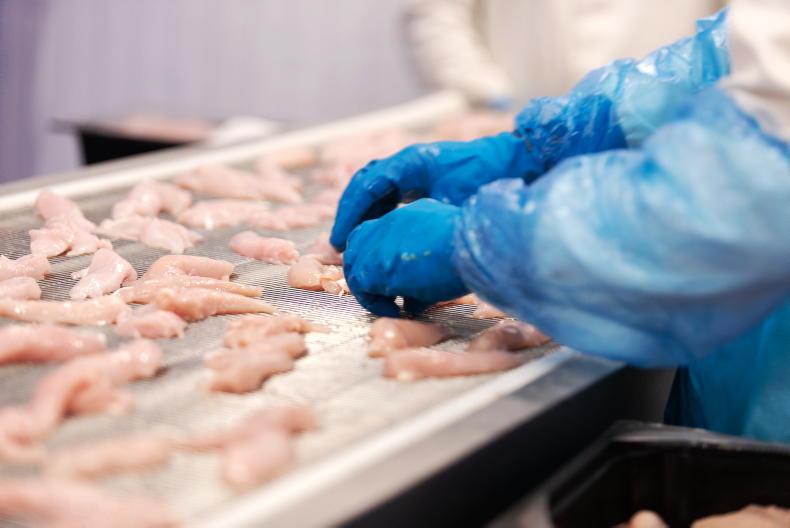 Audit paves way for re-entry of Brazilian poultry into EU just weeks after ban Audit paves way for re-entry of Brazilian poultry into EU just weeks after ban