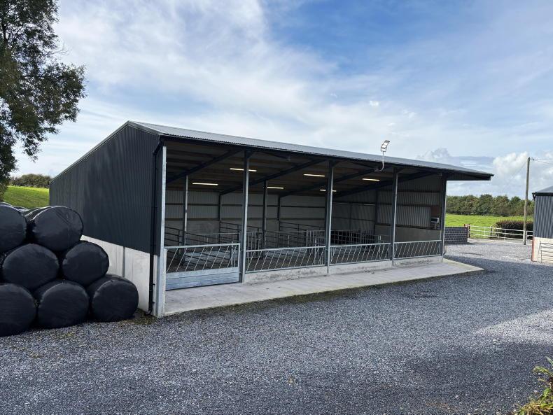 Galway farmer cuts costs by taking DIY approach to new suckler shed Galway farmer cuts costs by taking DIY approach to new suckler shed
