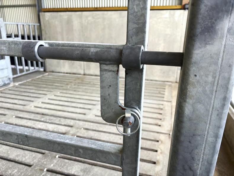 Galway farmer cuts costs by taking DIY approach to new suckler shed Galway farmer cuts costs by taking DIY approach to new suckler shed