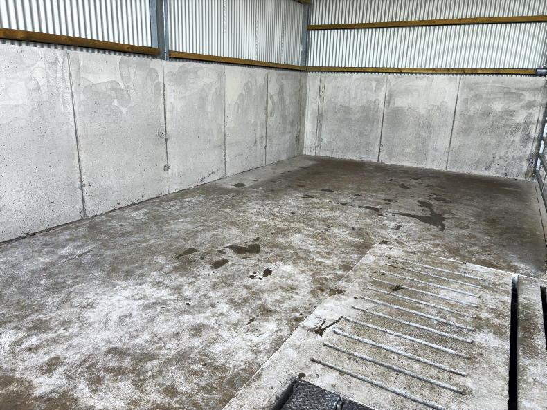 Galway farmer cuts costs by taking DIY approach to new suckler shed Galway farmer cuts costs by taking DIY approach to new suckler shed