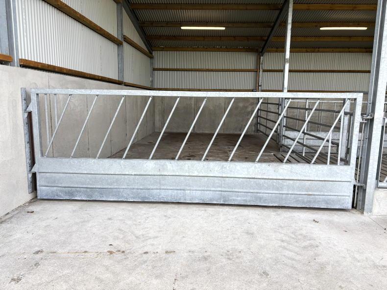 Galway farmer cuts costs by taking DIY approach to new suckler shed Galway farmer cuts costs by taking DIY approach to new suckler shed