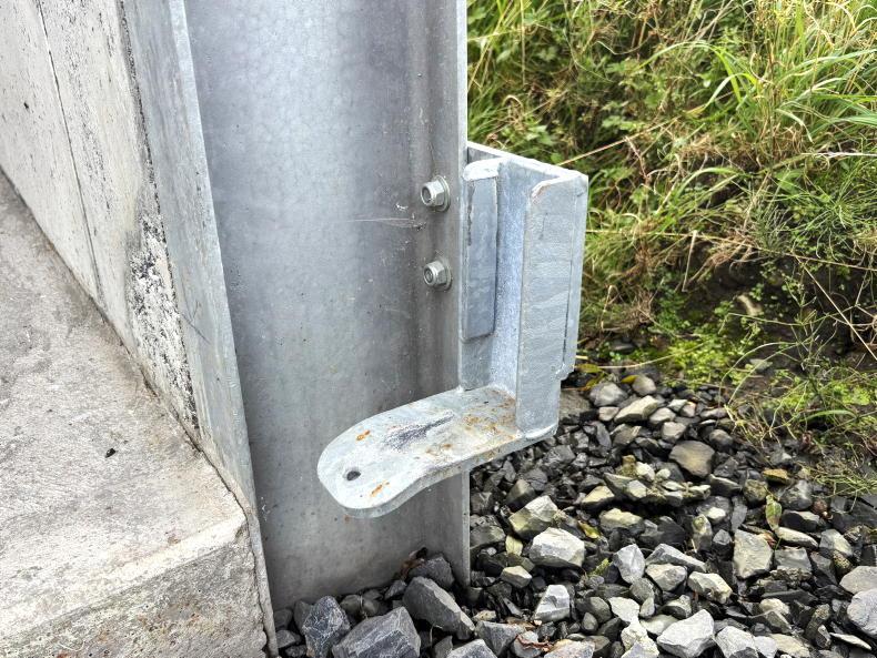 Galway farmer cuts costs by taking DIY approach to new suckler shed Galway farmer cuts costs by taking DIY approach to new suckler shed