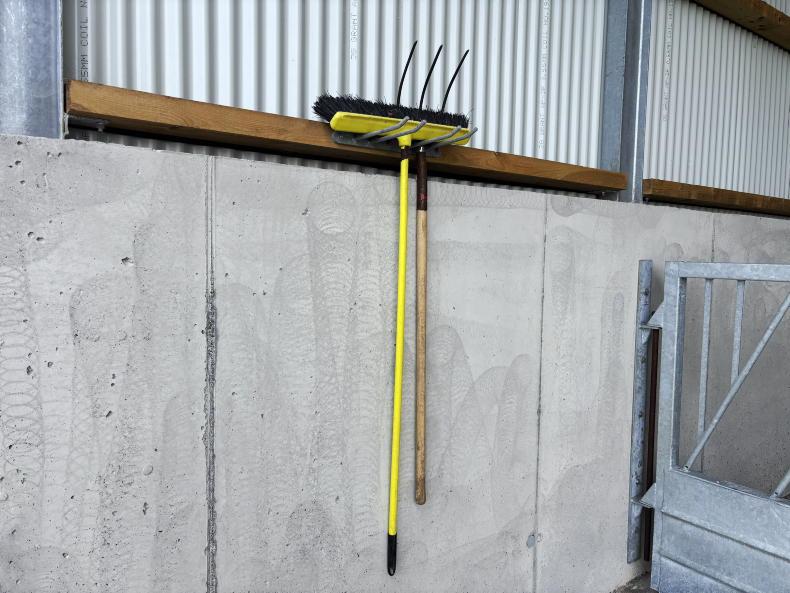 Galway farmer cuts costs by taking DIY approach to new suckler shed Galway farmer cuts costs by taking DIY approach to new suckler shed