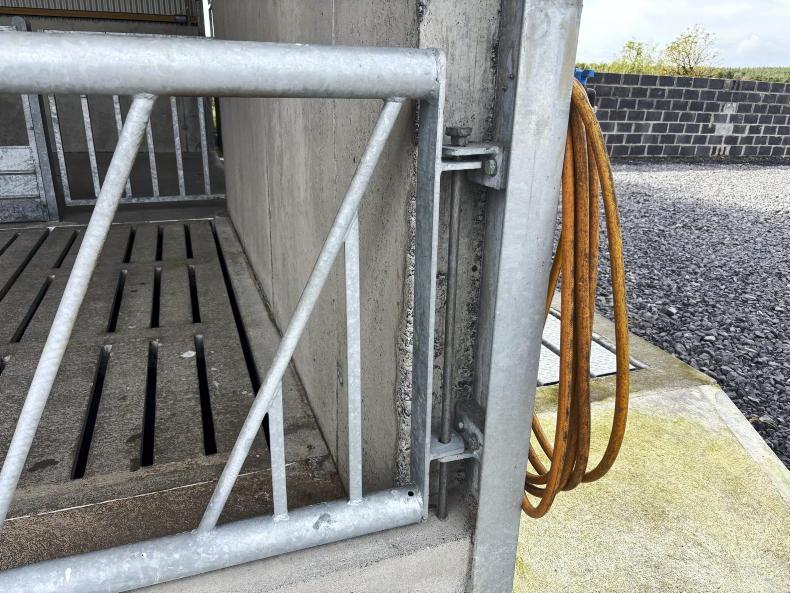 Galway farmer cuts costs by taking DIY approach to new suckler shed Galway farmer cuts costs by taking DIY approach to new suckler shed