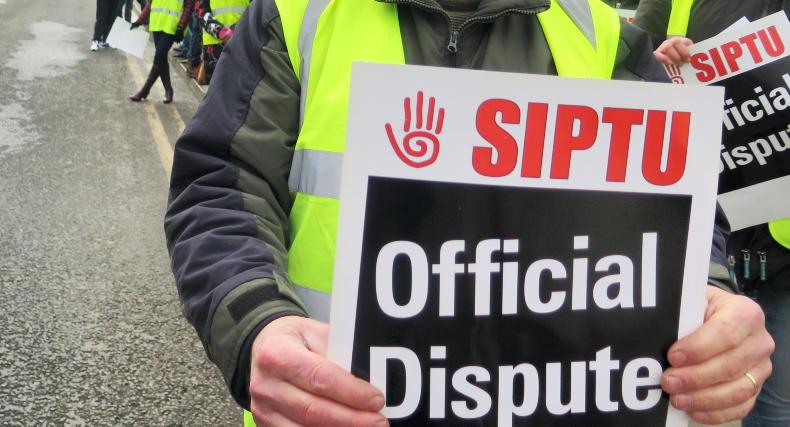 Teagasc staff warn of strike action Teagasc staff warn of strike action