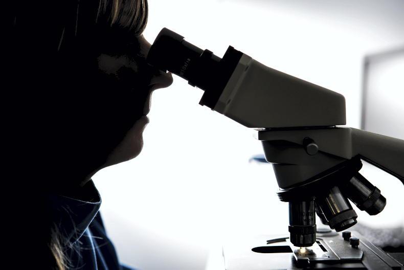 Beware of using R&D tax credits to reduce tax liability Beware of using R&D tax credits to reduce tax liability