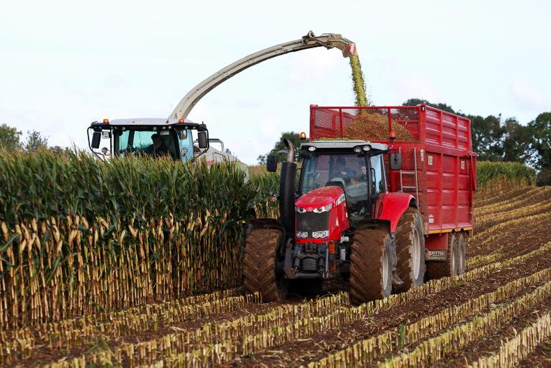 Tillage management: Watching the weather to plant winter crops Tillage management: Watching the weather to plant winter crops