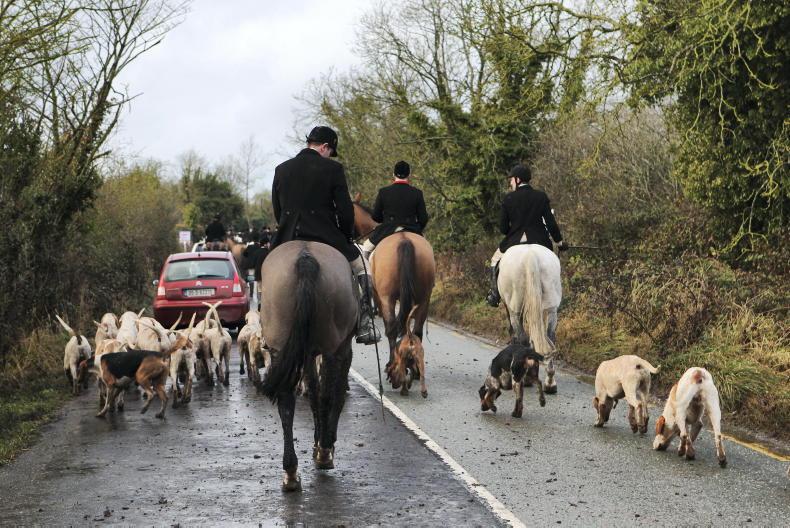 Dog hunting bill is ‘not fit for purpose’ Dog hunting bill is ‘not fit for purpose’