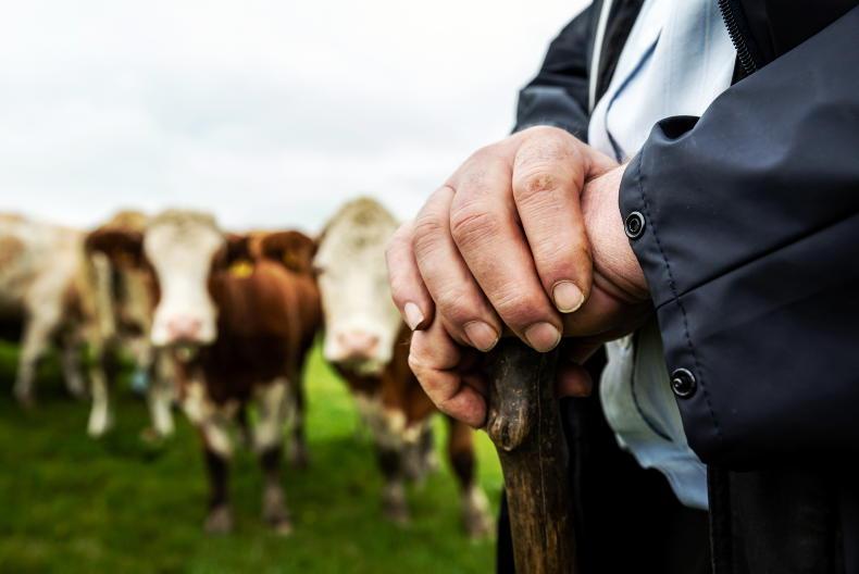 Producer organisation scheme reopens with grants of up to €10,000 a year Producer organisation scheme reopens with grants of up to €10,000 a year