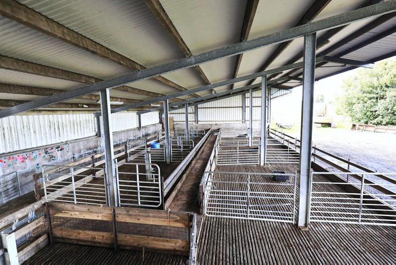 34ac Mayo farm with a house to restore offers strong starter opportunity 34ac Mayo farm with a house to restore offers strong starter opportunity