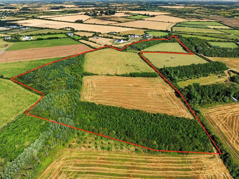 Donated Wexford farm sells for €227,000 and will fund church roof repairs Donated Wexford farm sells for €227,000 and will fund church roof repairs