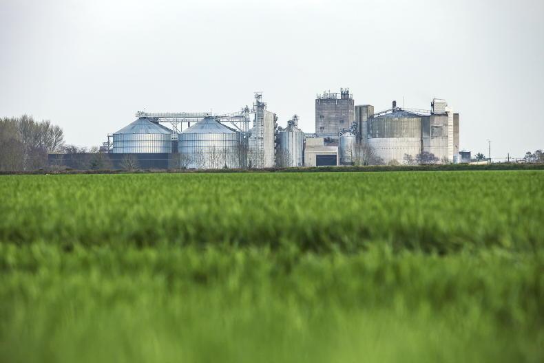 IFA seeks meeting with Boortmalt amid calls to remove charge IFA seeks meeting with Boortmalt amid calls to remove charge