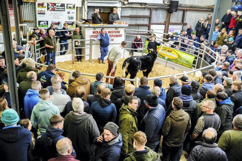 Exhibitors miss out as entries close for week two of Carrick Winter Fair Exhibitors miss out as entries close for week two of Carrick Winter Fair