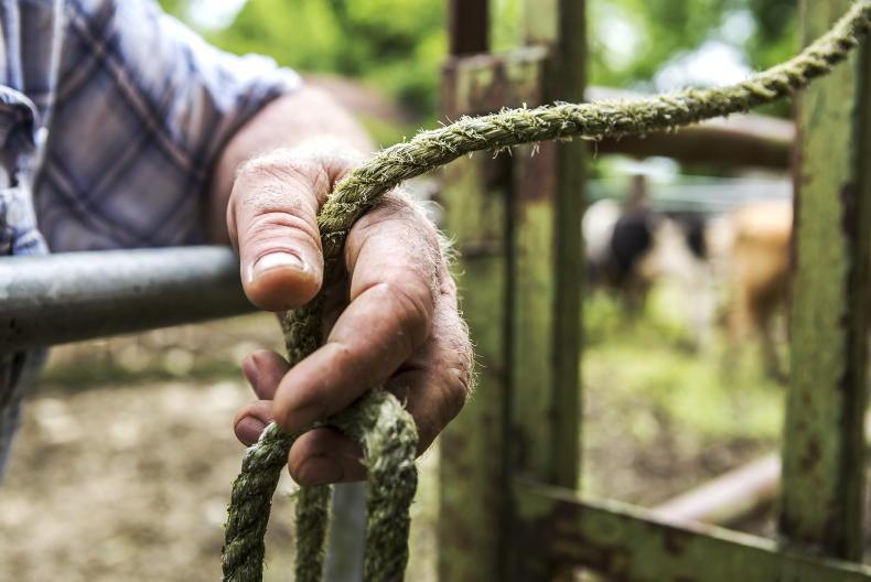 EU defence spending push threatens viability of farming, MEP warns EU defence spending push threatens viability of farming, MEP warns