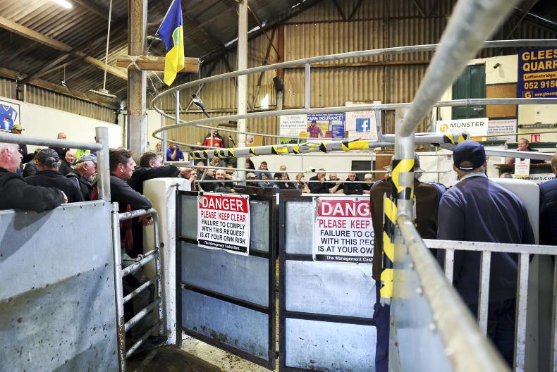 Camera at the Mart: farmers to the fore for weanlings in Cashel Camera at the Mart: farmers to the fore for weanlings in Cashel