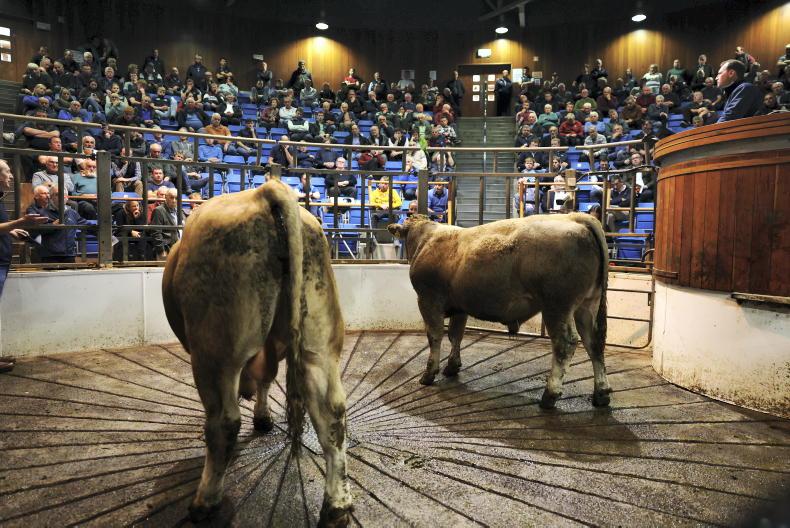 70c/kg difference between Irish and UK beef price 70c/kg difference between Irish and UK beef price