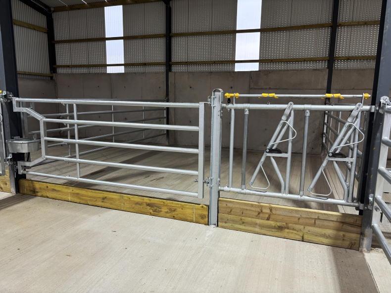 Inside young Monaghan farmer's 60% grant-aided suckler shed with a difference Inside young Monaghan farmer's 60% grant-aided suckler shed with a difference