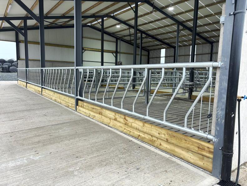 Inside young Monaghan farmer's 60% grant-aided suckler shed with a difference Inside young Monaghan farmer's 60% grant-aided suckler shed with a difference