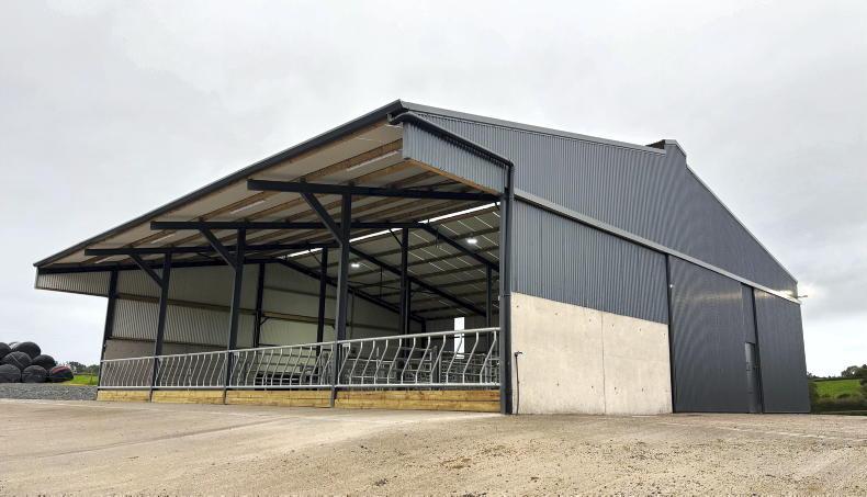 Inside young Monaghan farmer's 60% grant-aided suckler shed with a difference Inside young Monaghan farmer's 60% grant-aided suckler shed with a difference