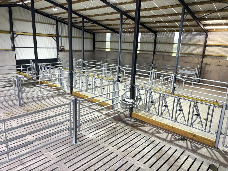 Inside young Monaghan farmer's 60% grant-aided suckler shed with a difference Inside young Monaghan farmer's 60% grant-aided suckler shed with a difference