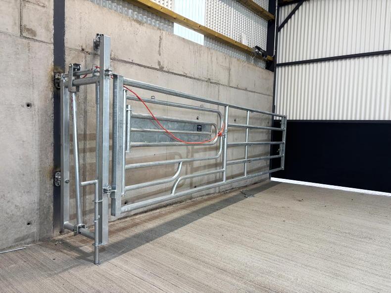 Inside young Monaghan farmer's 60% grant-aided suckler shed with a difference Inside young Monaghan farmer's 60% grant-aided suckler shed with a difference