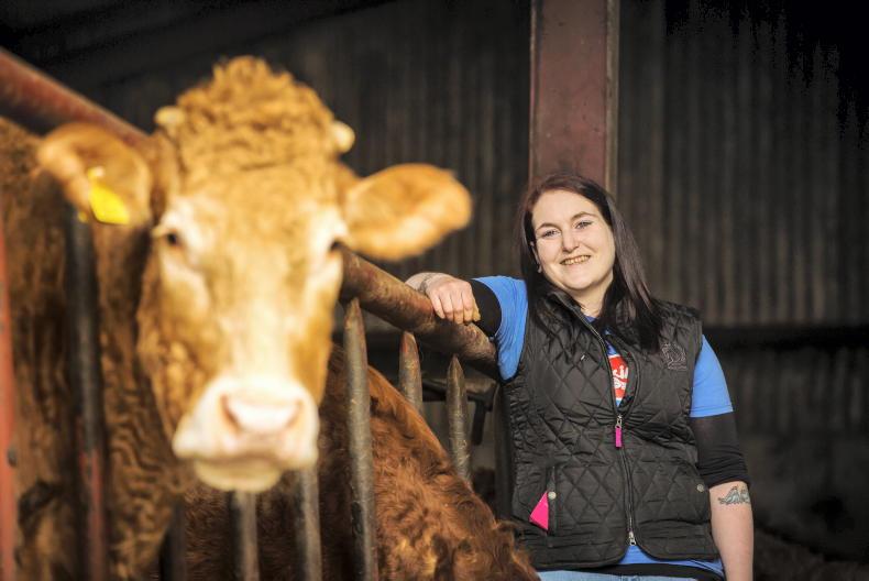 Farmer Writes: 13-year-old cow takes 'one giant leap for cowkind' at hoof trim Farmer Writes: 13-year-old cow takes 'one giant leap for cowkind' at hoof trim