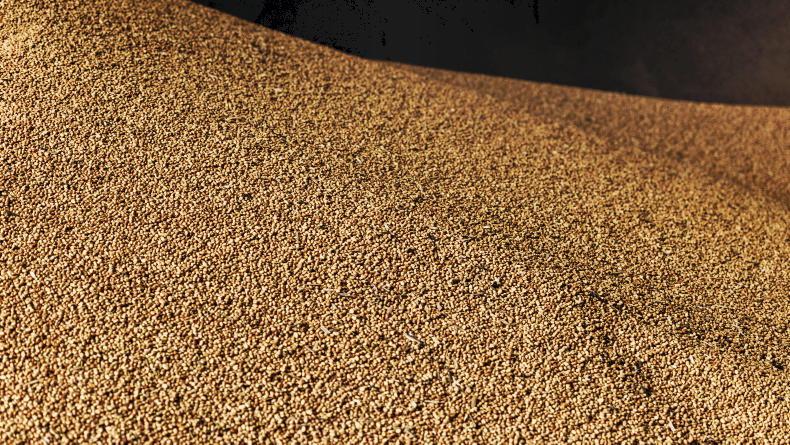Grain Trends: prices up this week as farmers plant Grain Trends: prices up this week as farmers plant