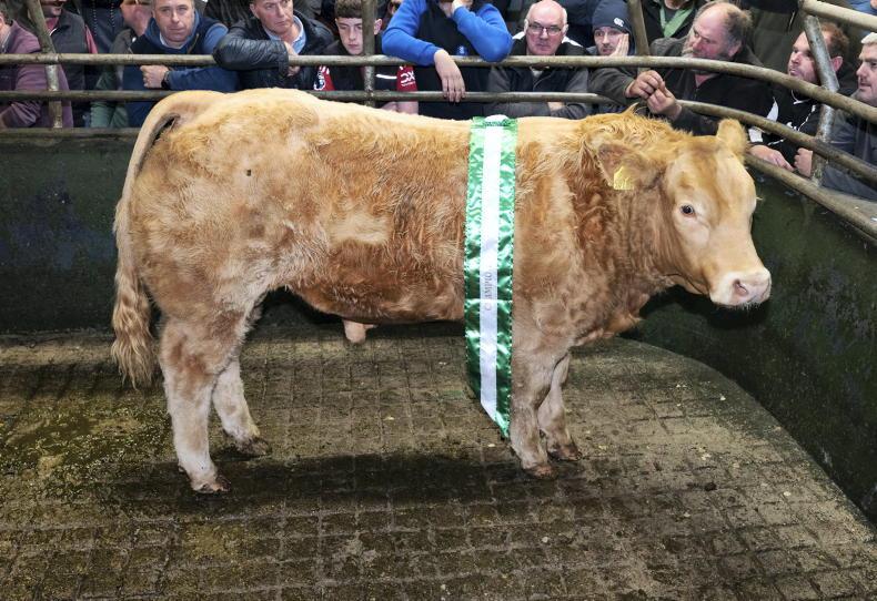 Camera at the Mart: farmer finishers keen for quality in Raphoe Camera at the Mart: farmer finishers keen for quality in Raphoe