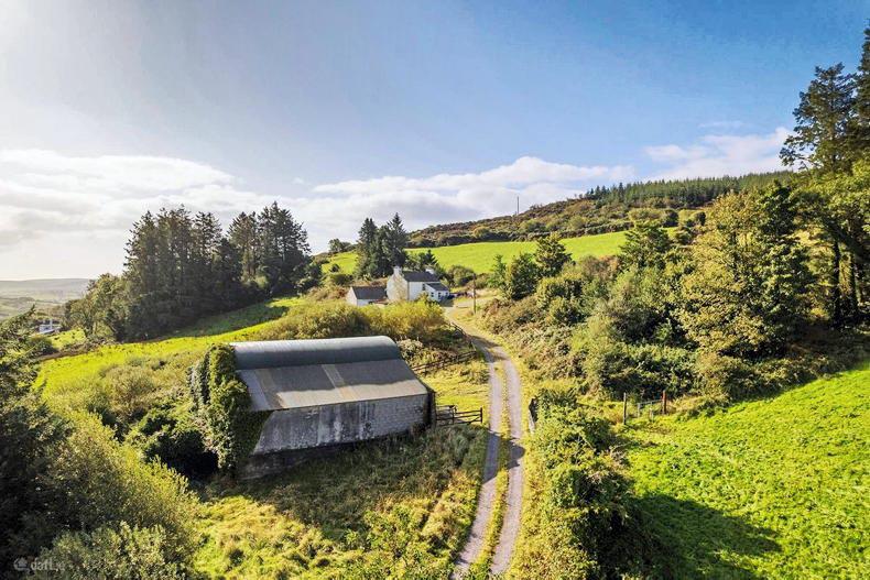 Forestry income and rural appeal on offer near Bantry for €850,000 Forestry income and rural appeal on offer near Bantry for €850,000