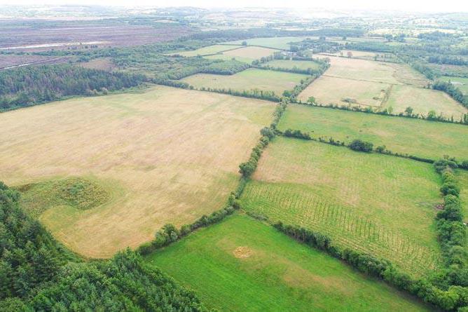 Two south Tipperary farms offer expansion and investment scope Two south Tipperary farms offer expansion and investment scope