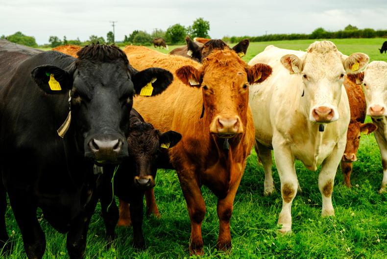 EU farm subsidies fall to lowest share of farm incomes in quarter of a century EU farm subsidies fall to lowest share of farm incomes in quarter of a century